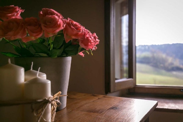 Hotel Il Vignolino Bed and Breakfast